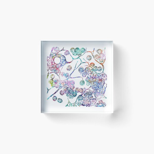 Item preview, Cells of Lymphatic Gland Histology designed and sold by EvasDreams.