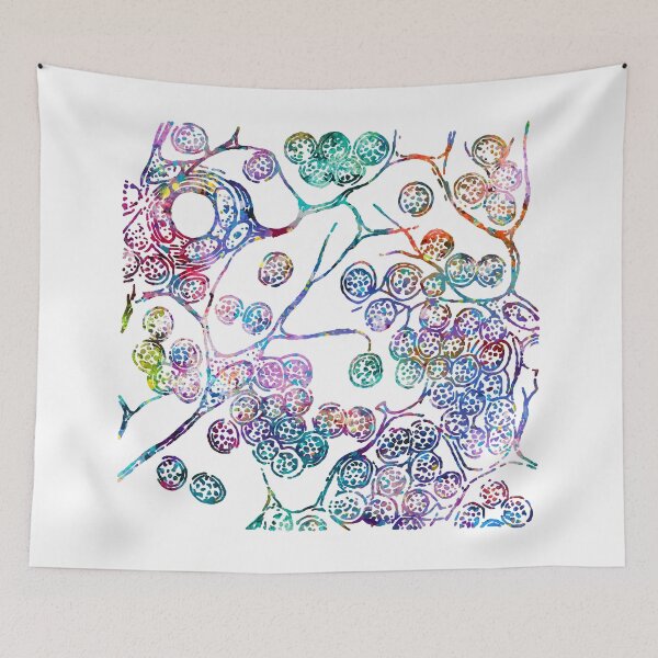 Item preview, Cells of Lymphatic Gland Histology designed and sold by EvasDreams.