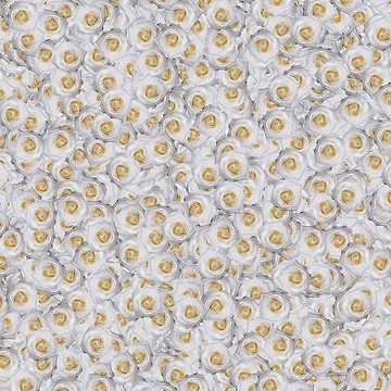 Artwork thumbnail, White Rose Pattern by DesignCodeStore
