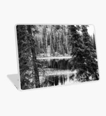 Denali - Reflections in a Pond BW Laptop Skin
