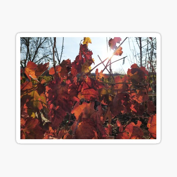 Autumn Sticker