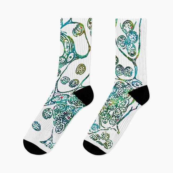 Item preview, Cells of Lymphatic Gland Histology designed and sold by EvasDreams.