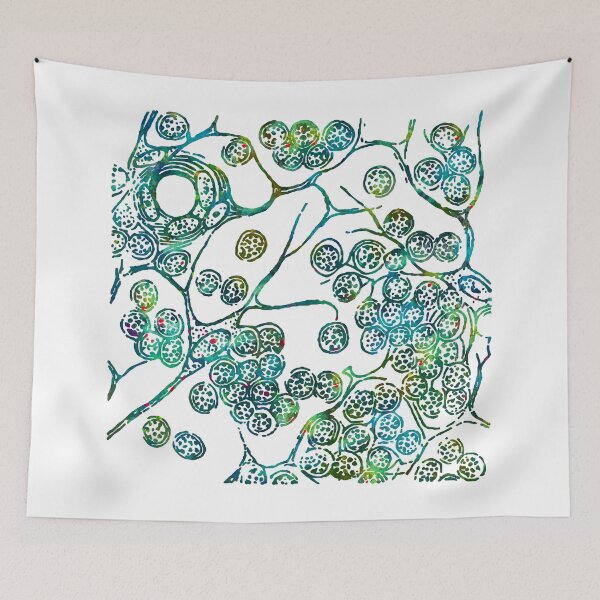 Item preview, Cells of Lymphatic Gland Histology designed and sold by EvasDreams.