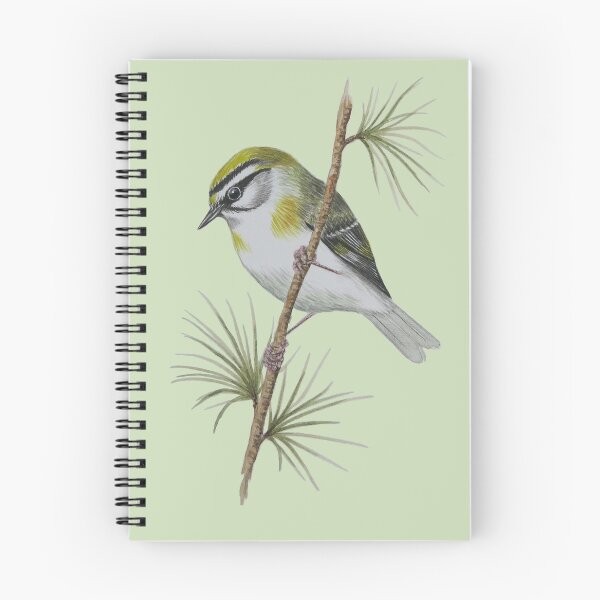 Item preview, Cute Little Goldcrest! Watercolour by Paula McBride designed and sold by TTWG.