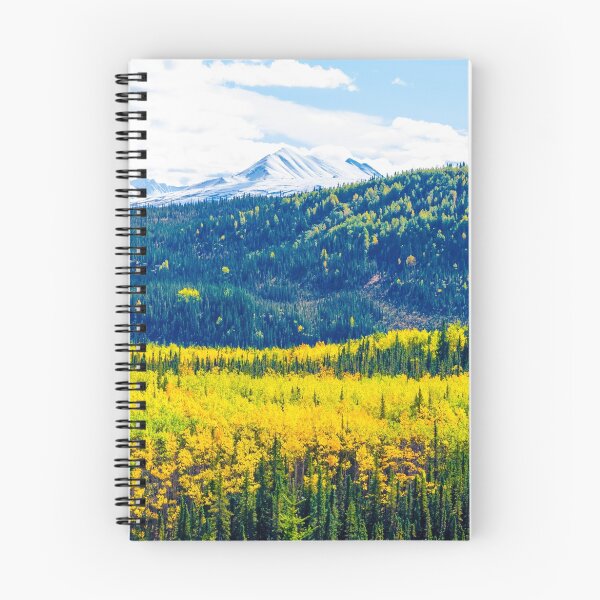 Item preview, Denali - Golden Valley designed and sold by mcstory.