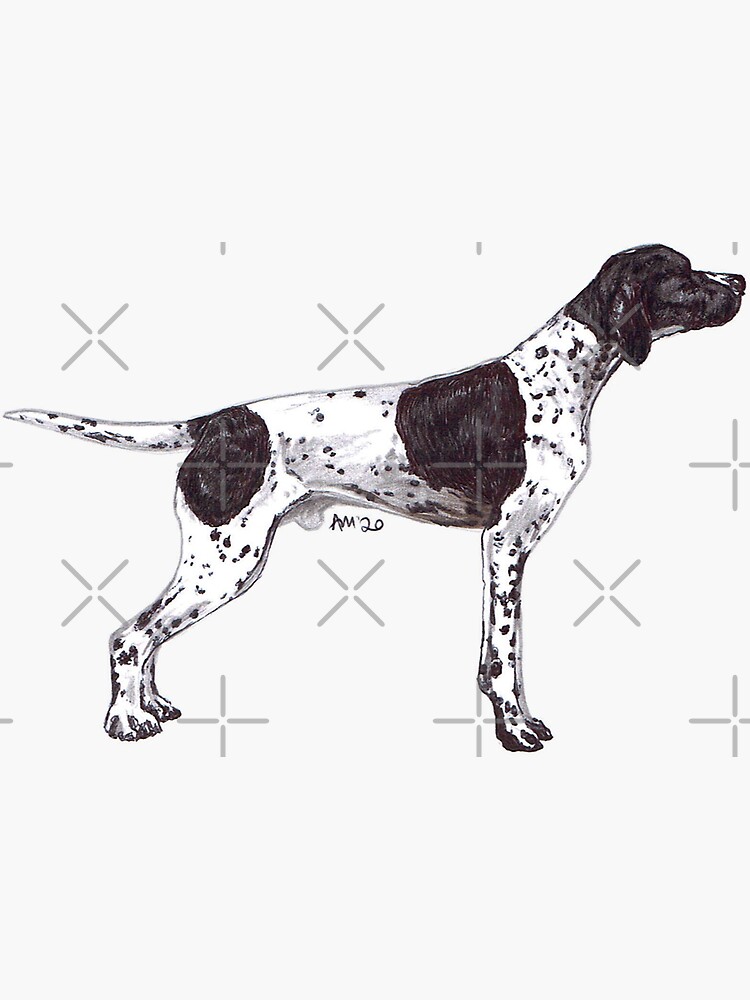"English Pointer Dog Breed Show Stack Stand" Sticker for Sale by