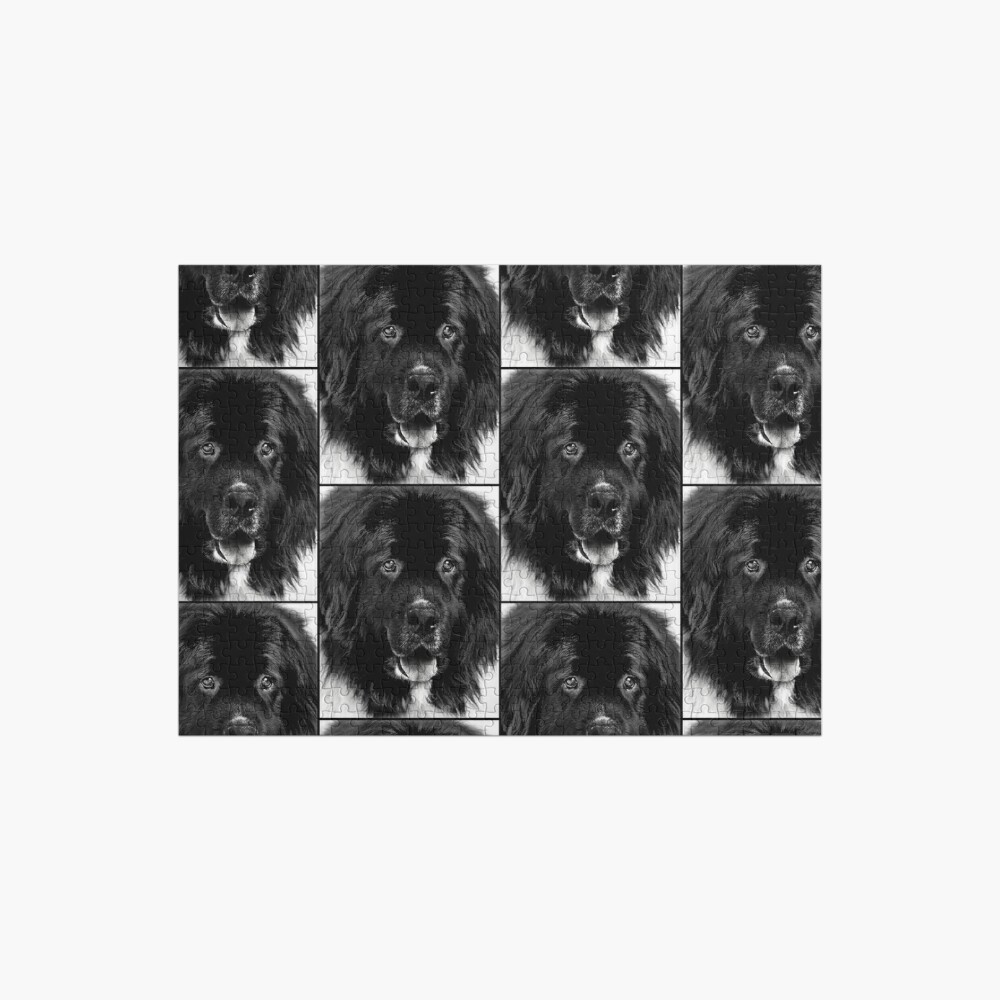 Online Cheap Newfoundland Dog Portrait in Black and White Jigsaw Puzzle by Laurie Minor JW-QMBY8PLN