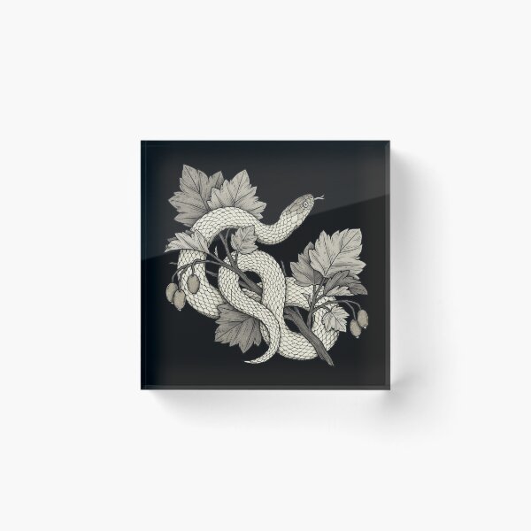 Item preview, Curious snake on a branch designed and sold by Veymoth.