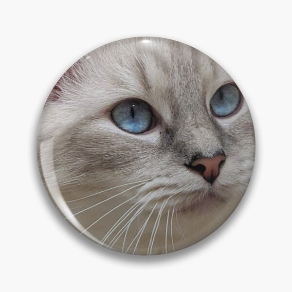 Item preview, Ragdoll cat designed and sold by Fluffycat2020.