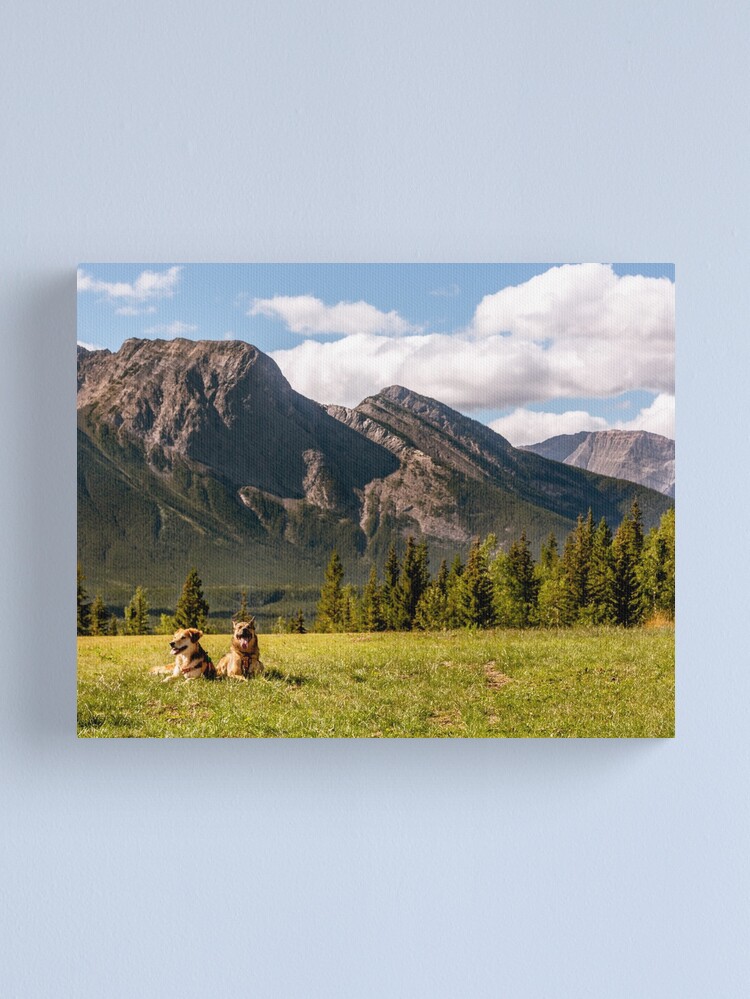 Thumbnail 1 of 3, Canvas Print, A Thousand Miracles designed and sold by darren-j-mcleod.