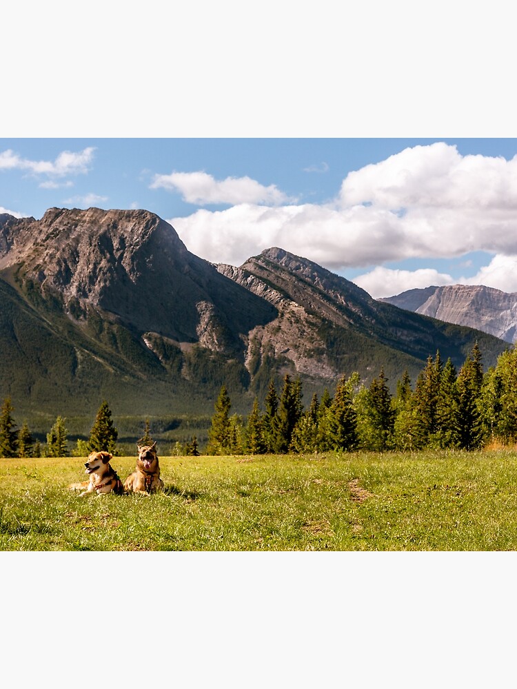 Thumbnail 3 of 3, Canvas Print, A Thousand Miracles designed and sold by darren-j-mcleod.