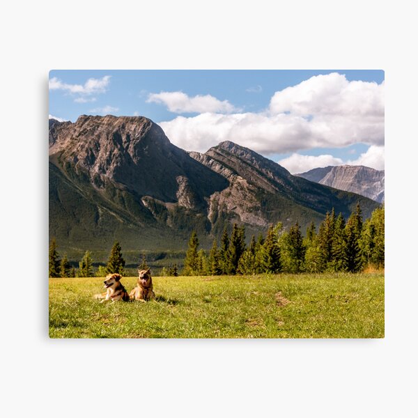 Canvas Print