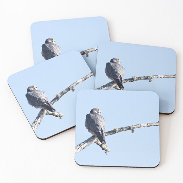 Item preview, Peregrine Flacon designed and sold by Andrea King.