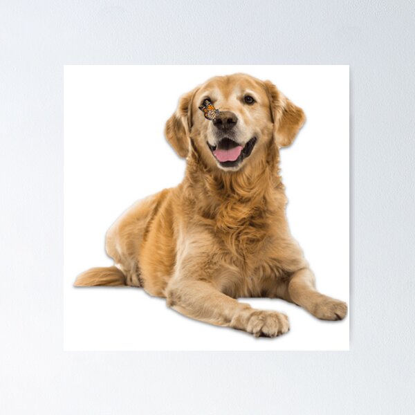 Item preview, Golden retriever and butterfly designed and sold by Roisin678.