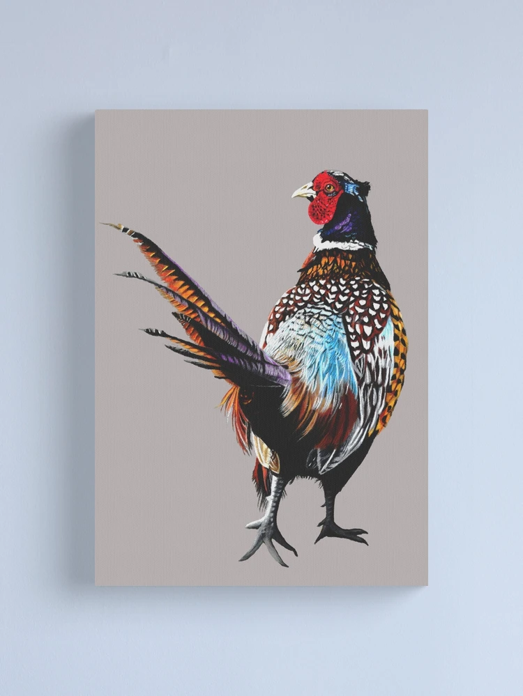 Pheasant Feathers Personalized Printed Note Cards – A.J.'s Prints