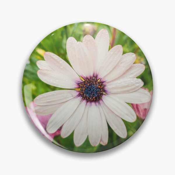 Item preview, white asters designed and sold by psychoshadow.