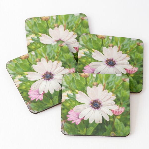Item preview, white asters designed and sold by psychoshadow.