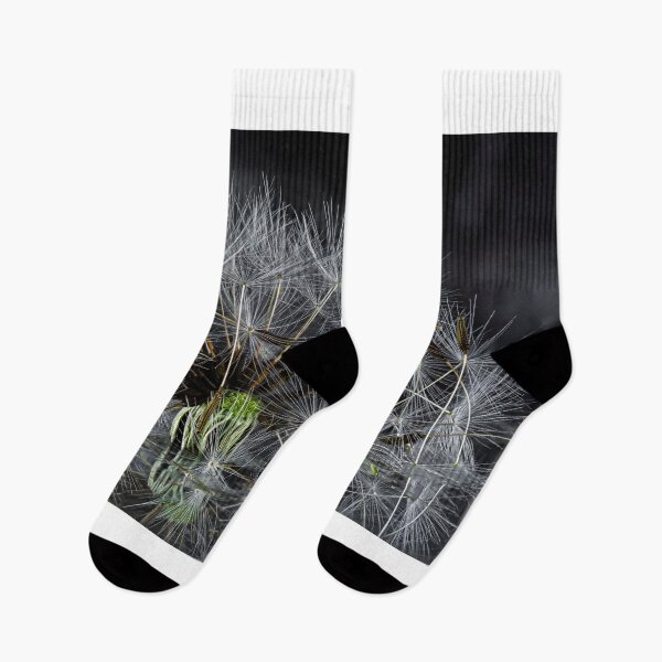 Item preview, Dandelion reflections designed and sold by Claude Anthony Bennett.