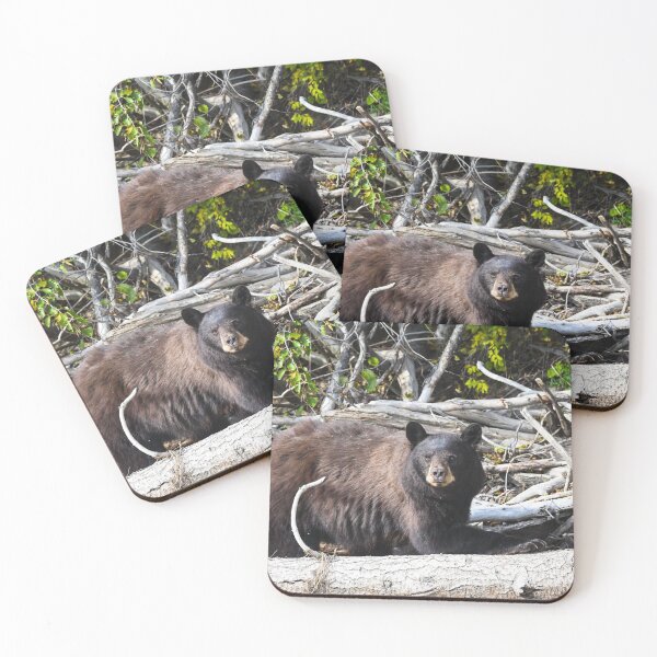 Item preview, Mama Black Bear designed and sold by Andrea King.