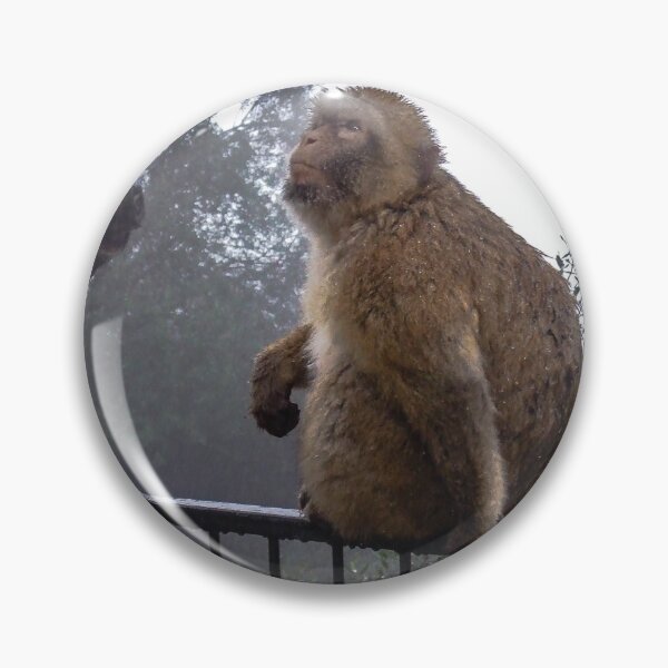 Item preview, Gibraltar Barbary Macaque  designed and sold by Sherri's Stuff.