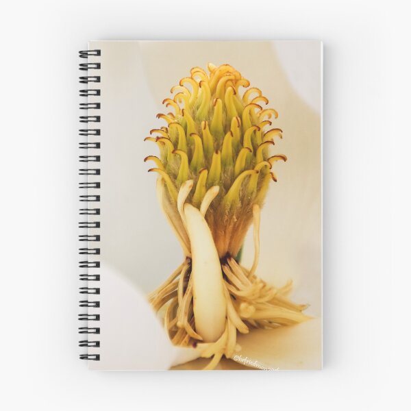 Item preview, The Center Of Life designed and sold by heatherfriedman.