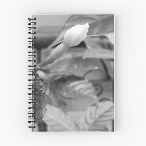 Item preview, Save the butterflies/Greyscale designed and sold by attracdionz.