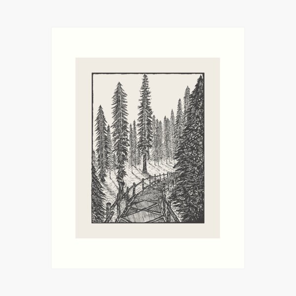 Carbon Canyon Redwood Grove Trail Art Print