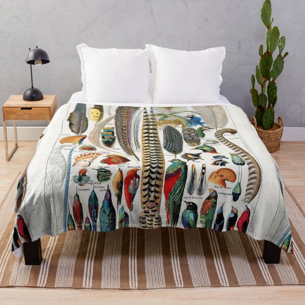 Item preview, Vintage Botanical Print - Plumes - Feathers designed and sold by SFTStudio.