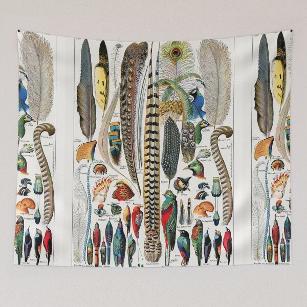 Item preview, Vintage Botanical Print - Plumes - Feathers designed and sold by SFTStudio.