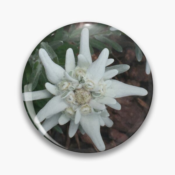 Item preview, Edelweiss designed and sold by Christine  Wilson Photos.