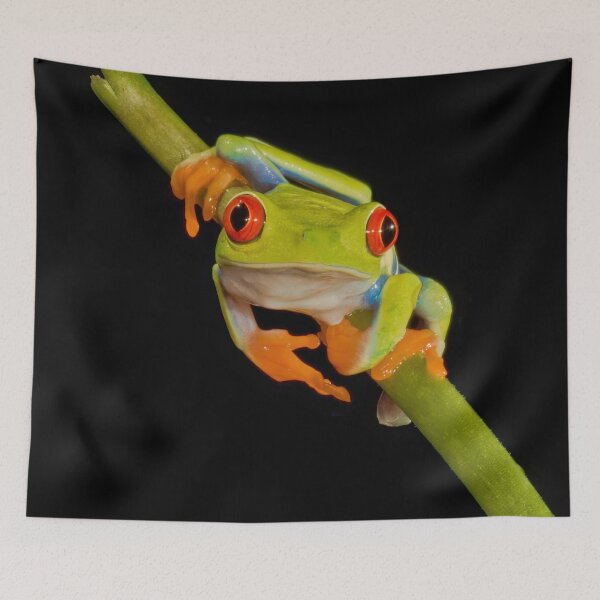 Item preview, Red Eye Tree Frog No. 1 designed and sold by Gerard Fornarotto.