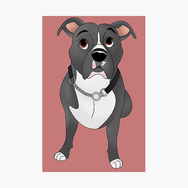 Lámina fotográfica «Diseño de Pitbull en blanco y negro de dibujos