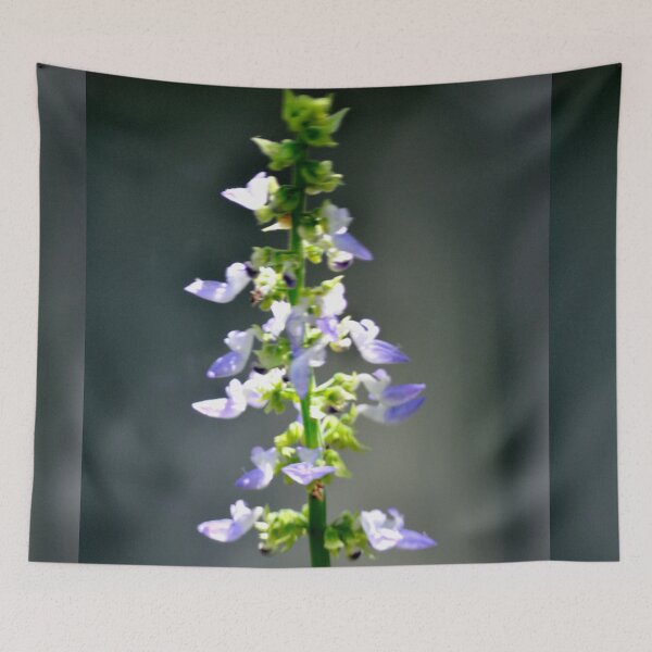 Item preview, In the Spotlight designed and sold by michaelasamples.