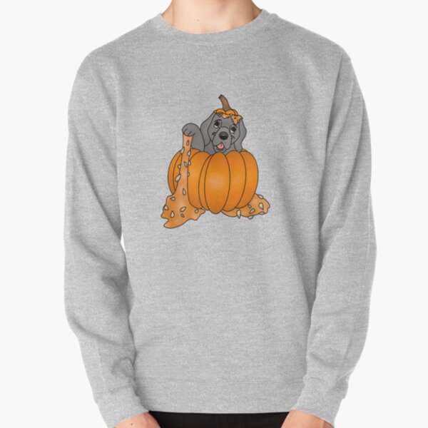 Cartoony Puppy in a Pumpkin Design Pullover Sweatshirt