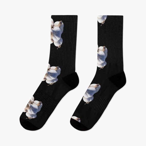 Item preview, Cool garlic on black v.2 designed and sold by Francesko221.