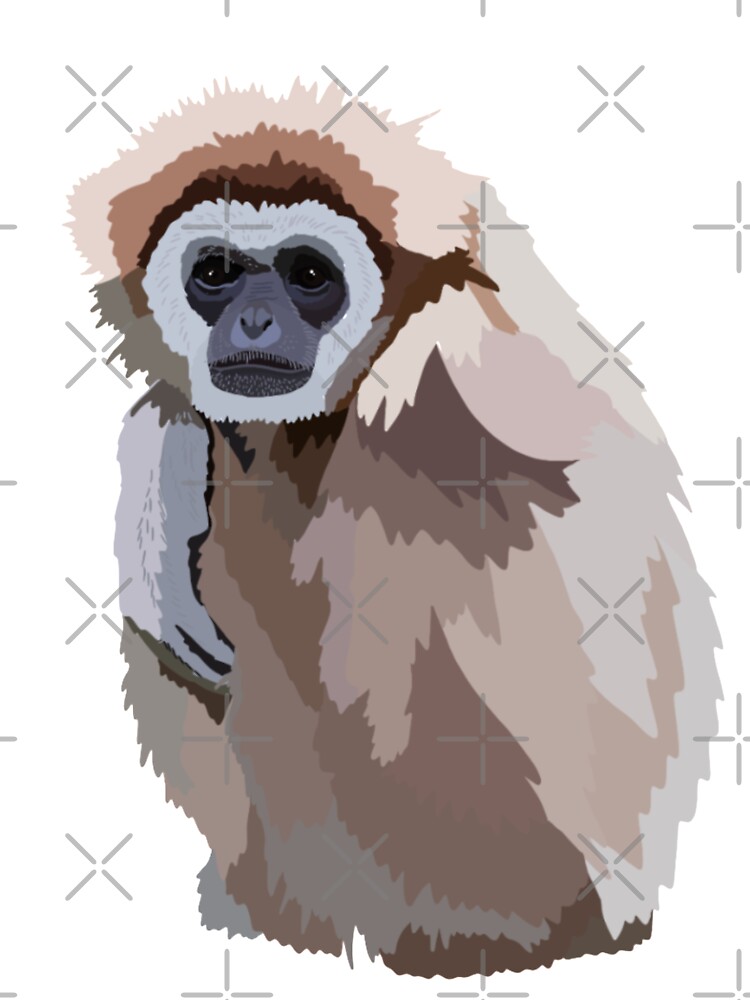 G Is For Gibbon Baby One Piece By Thezoogirl Redbubble