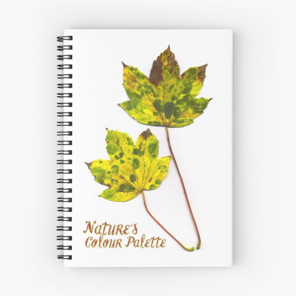Item preview, Nature's Colour Palette designed and sold by hoxtonboy.