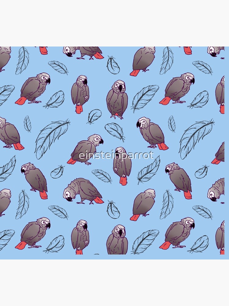 Discover African Grey Parrot and Feather Socks