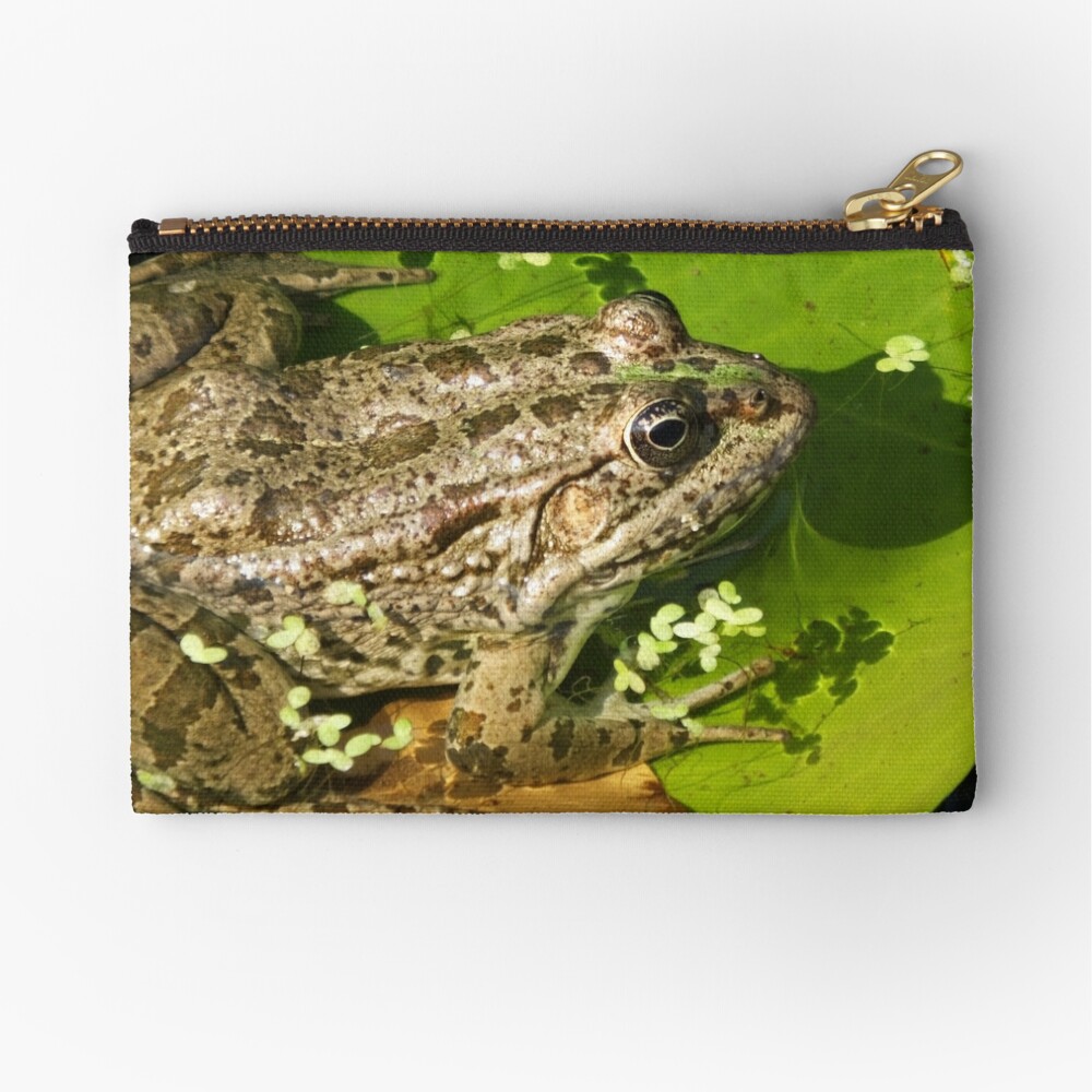 Caucasian Parsley Frog, Georgia Zipper Pouch