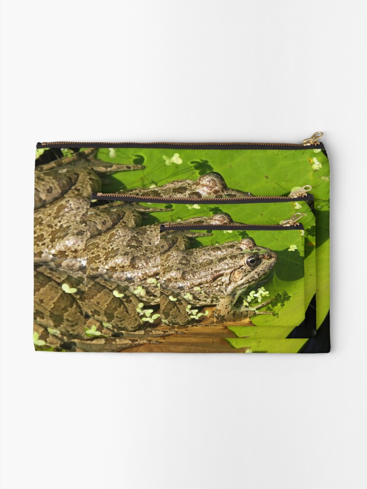 Alternate view of Caucasian Parsley Frog, Georgia Zipper Pouch