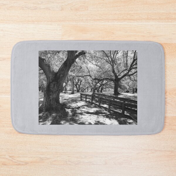 Item preview, Trees with Wooden Fence designed and sold by Anthony Macaluso.