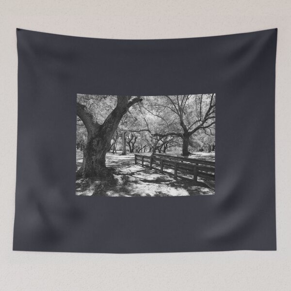 Item preview, Trees with Wooden Fence designed and sold by Anthony Macaluso.