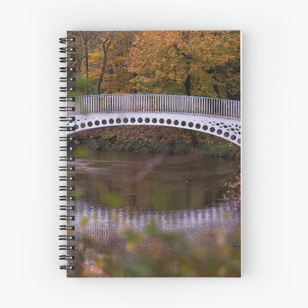 Item preview, The Halfpenny bridge, Linn Park, Glasgow  designed and sold by thebigidea photography.