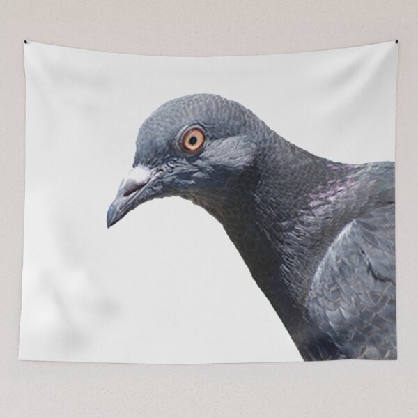 Item preview, Pigeon designed and sold by sticker-snakes.