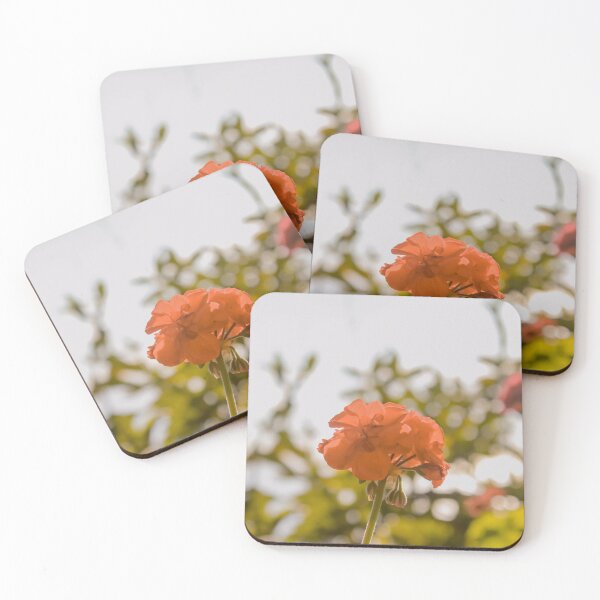 Item preview, Photography of a Geranium (flower) - Madeira, Portugal designed and sold by marianaalens.