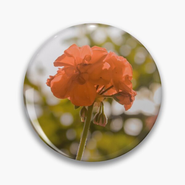 Item preview, Photography of a Geranium (flower) - Madeira, Portugal designed and sold by marianaalens.
