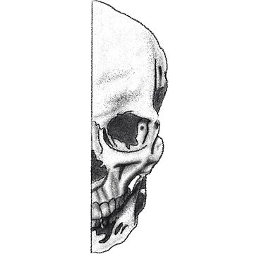 how to draw half skeleton face  YouTube