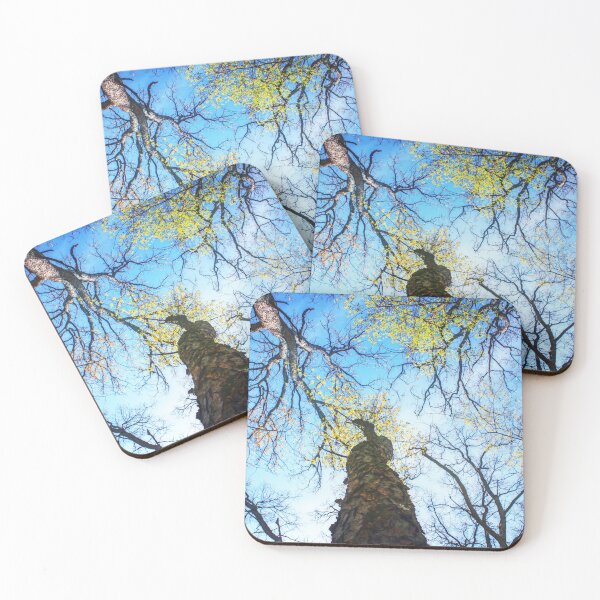 Item preview, Always look up because life can get ya down!! designed and sold by Johnnynature45.