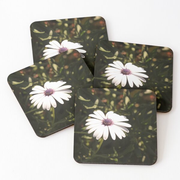 Item preview, Photography of a daisy (flower common daisy) - Madeira, Portugal designed and sold by marianaalens.
