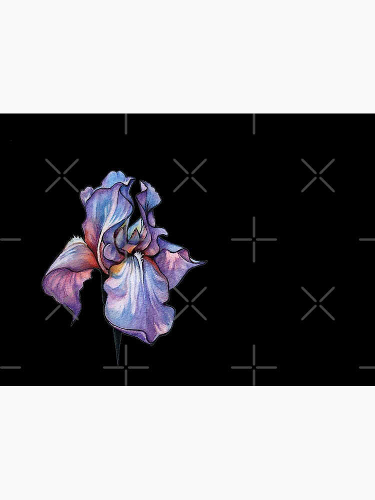 Iris by Elenanaylor